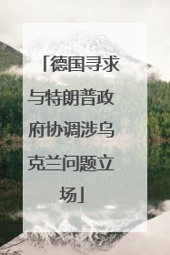 德国寻求与特朗普政府协调涉乌克兰问题立场