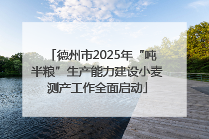 德州市2025年“吨半粮”生产能力建设小麦测产工作全面启动