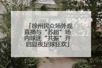 徐州民众场外观直播与“苏超”场内球迷“共振”开启夏夜足球狂欢