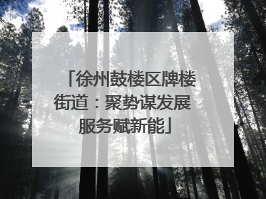 徐州鼓楼区牌楼街道：聚势谋发展 服务赋新能