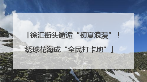 徐汇街头邂逅“初夏浪漫”！绣球花海成“全民打卡地”
