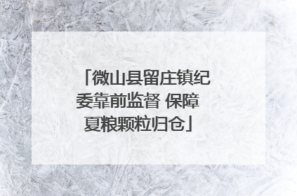 微山县留庄镇纪委靠前监督 保障夏粮颗粒归仓