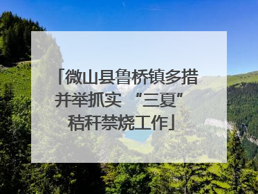 微山县鲁桥镇多措并举抓实 “三夏” 秸秆禁烧工作
