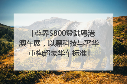 尊界S800登陆粤港澳车展，以黑科技与奢华重构超豪华车标准