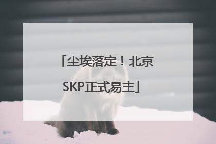 尘埃落定！北京SKP正式易主