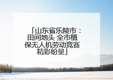 山东省乐陵市：田间地头 全市植保无人机劳动竞赛精彩纷呈