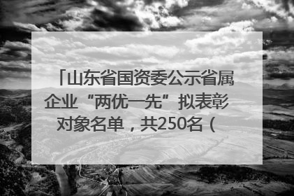 山东省国资委公示省属企业“两优一先”拟表彰对象名单，共250名（个）党员和党组织