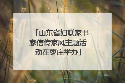 山东省妇联家书家信传家风主题活动在枣庄举办