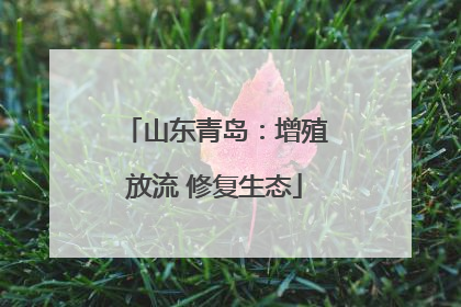 山东青岛：增殖放流 修复生态