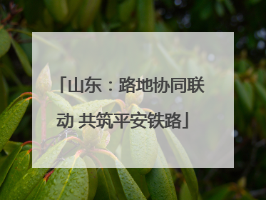 山东：路地协同联动 共筑平安铁路