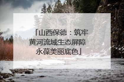山西保德：筑牢黄河流域生态屏障 永葆美丽底色