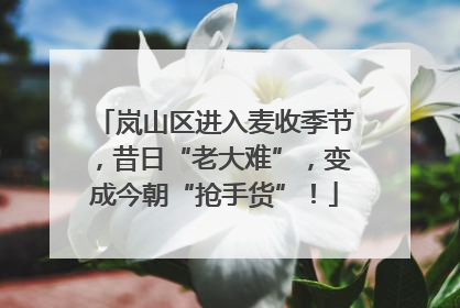 岚山区进入麦收季节，昔日“老大难”，变成今朝“抢手货”！