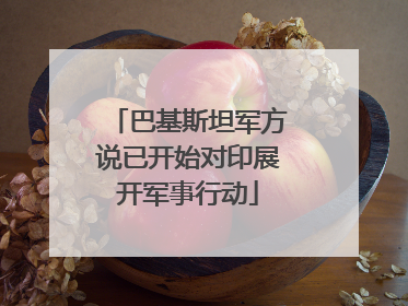 巴基斯坦军方说已开始对印展开军事行动