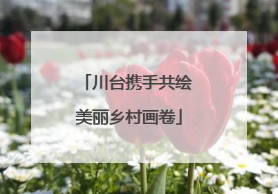 川台携手共绘美丽乡村画卷