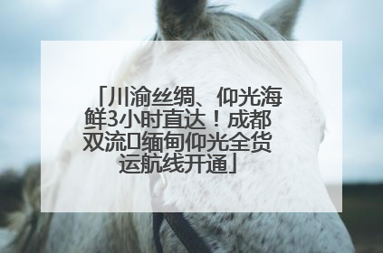 川渝丝绸、仰光海鲜3小时直达！成都双流⇌缅甸仰光全货运航线开通
