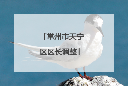 常州市天宁区区长调整