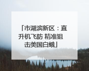 市湖滨新区：直升机飞防 精准狙击美国白蛾