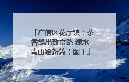 广信区花厅镇：茶香飘出致富路 绿水青山绘新篇（图）