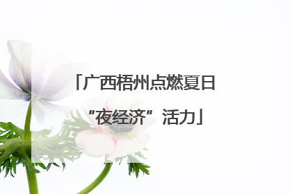 广西梧州点燃夏日“夜经济”活力