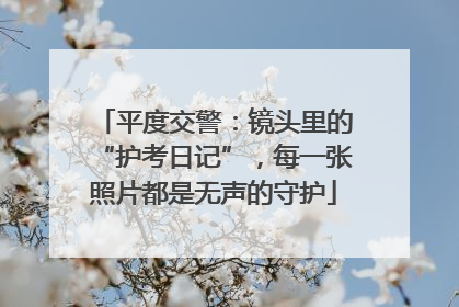 平度交警：镜头里的“护考日记”，每一张照片都是无声的守护