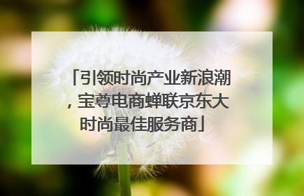 引领时尚产业新浪潮，宝尊电商蝉联京东大时尚最佳服务商