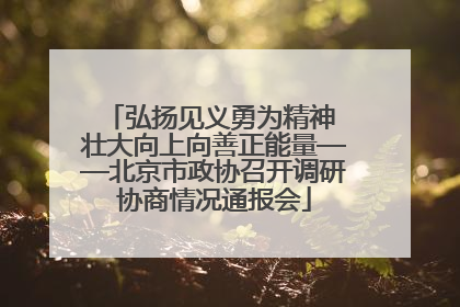 弘扬见义勇为精神 壮大向上向善正能量——北京市政协召开调研协商情况通报会