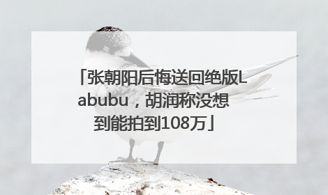 张朝阳后悔送回绝版Labubu，胡润称没想到能拍到108万