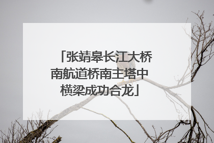 张靖皋长江大桥南航道桥南主塔中横梁成功合龙