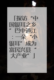 探访“中国银耳之乡”巴中通江：一朵“小银耳”成为富民兴县“大产业”