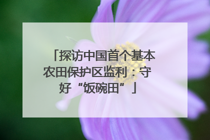 探访中国首个基本农田保护区监利：守好“饭碗田”