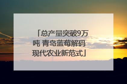 总产量突破9万吨 青岛蓝莓解码现代农业新范式