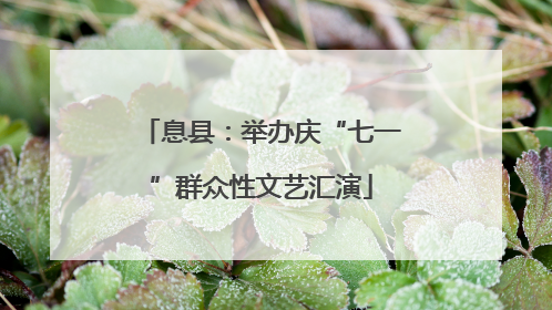 息县：举办庆“七一”群众性文艺汇演