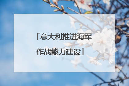 意大利推进海军作战能力建设