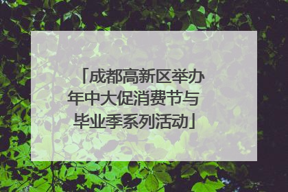 成都高新区举办年中大促消费节与毕业季系列活动