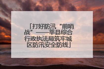 打好防汛“前哨战”——莘县综合行政执法局筑牢城区防汛安全防线
