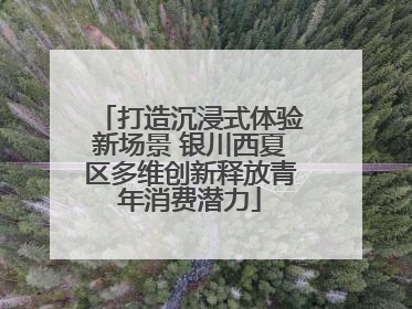 打造沉浸式体验新场景 银川西夏区多维创新释放青年消费潜力