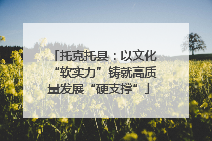 托克托县：以文化“软实力”铸就高质量发展“硬支撑”