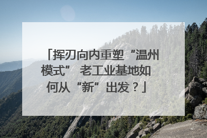 挥刃向内重塑“温州模式” 老工业基地如何从“新”出发？