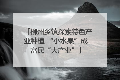 柳州乡镇探索特色产业种植 “小水果”成富民“大产业”