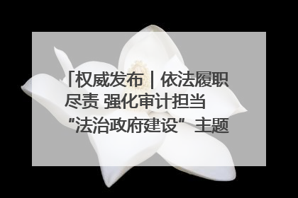 权威发布｜依法履职尽责 强化审计担当 “法治政府建设”主题系列新闻发布会市审计局专场召开