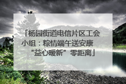 杨园街道电信片区工会小组：粽情端午送安康 “益心暖新”零距离