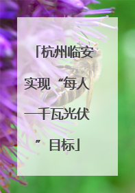 杭州临安实现“每人一千瓦光伏”目标