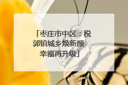 枣庄市中区：税郭镇城乡焕新颜 幸福再升级