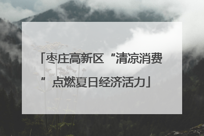 枣庄高新区“清凉消费”点燃夏日经济活力
