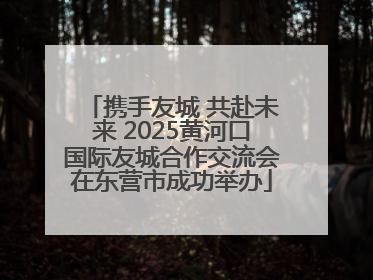 携手友城 共赴未来 2025黄河口国际友城合作交流会在东营市成功举办