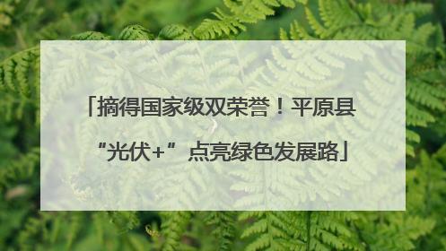 摘得国家级双荣誉！平原县“光伏+”点亮绿色发展路