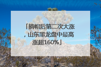 摘帽后第二次大涨，山东墨龙盘中最高涨超160%