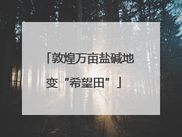 敦煌万亩盐碱地变“希望田”