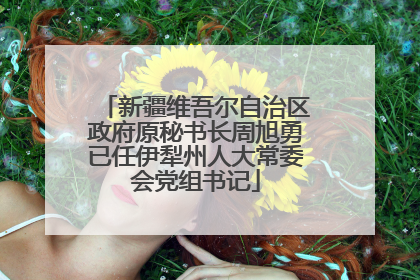 新疆维吾尔自治区政府原秘书长周旭勇已任伊犁州人大常委会党组书记
