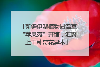 新疆伊犁植物园温室“苹果苑”开馆，汇聚上千种奇花异木